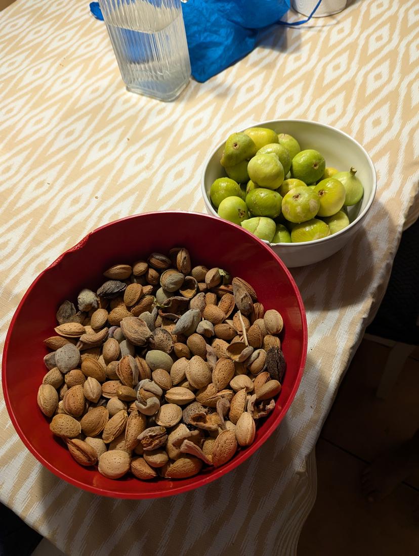 Ametlles i figues