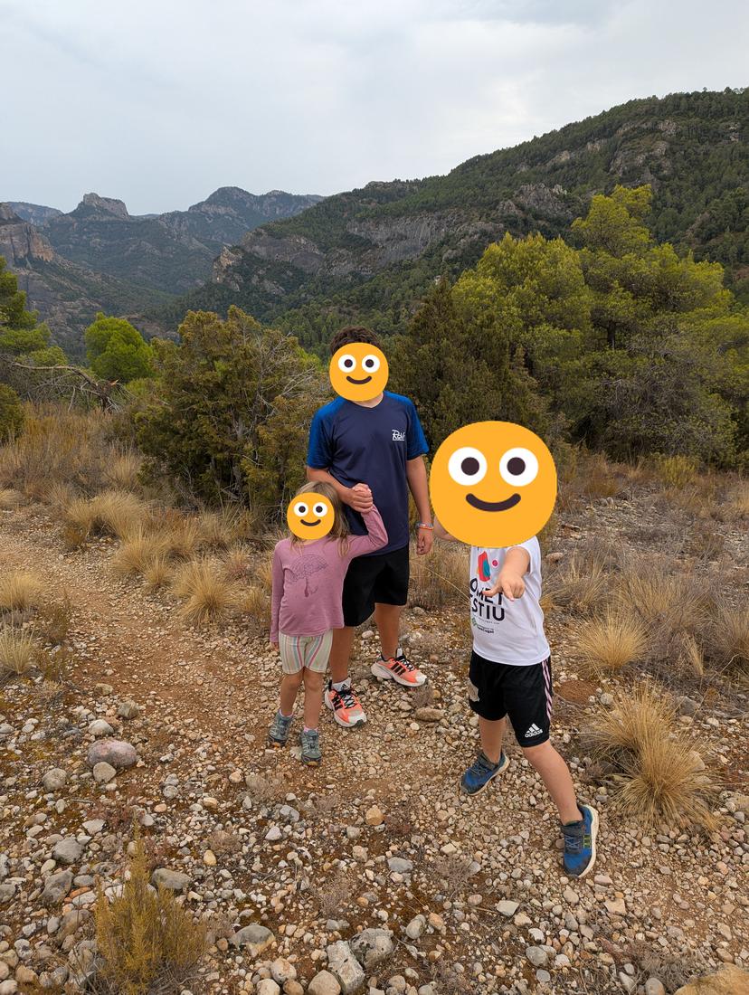 Pel camí de la muntanya