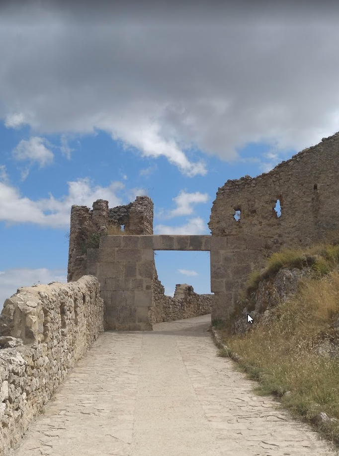 Morella