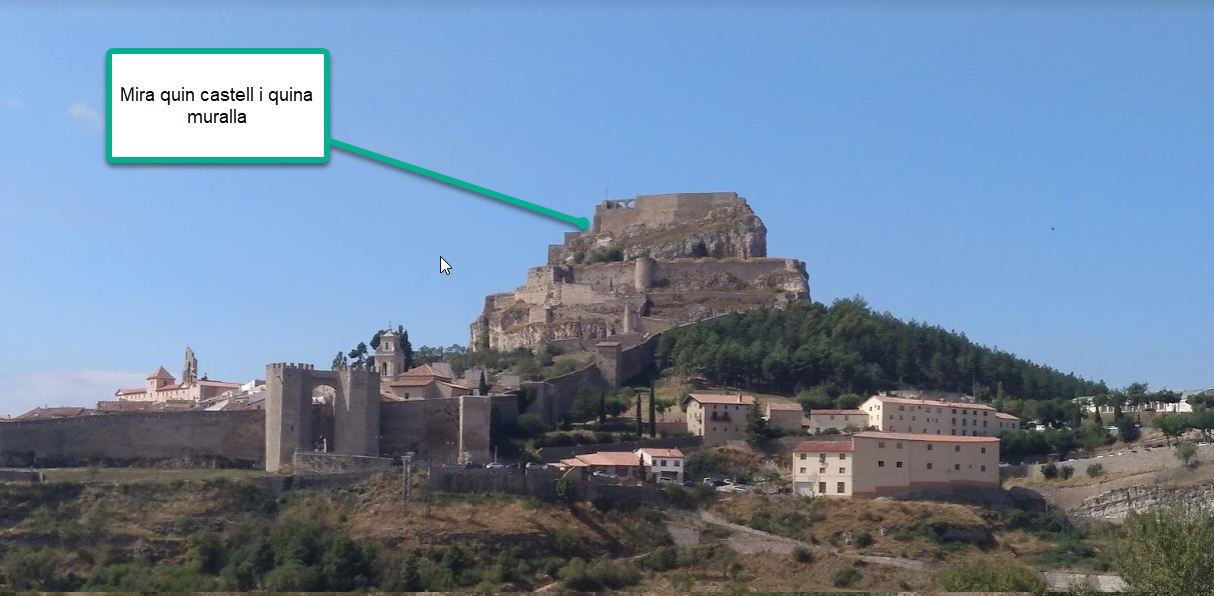 Morella