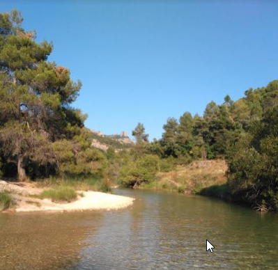 Pesquera