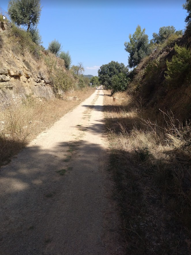 Via verda