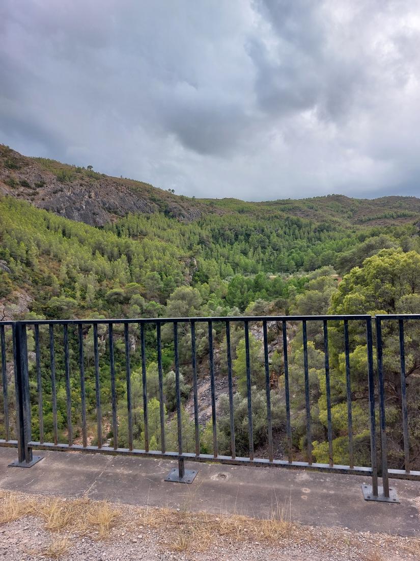 Des del viaducte